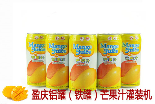 盈慶灌裝機為您提供：芒果汁灌裝機、芒果果汁灌裝機、芒果果汁灌裝生產(chǎn)線(xiàn)、玻璃瓶芒果汁飲料灌裝機、PET瓶芒果汁灌裝機、鋁罐（鐵罐）芒果汁灌裝機、紙包裝芒果果汁灌裝機。當你需要上芒果果汁生產(chǎn)線(xiàn)的時(shí)候，來(lái)盈慶灌裝機（恒宇飲料機械）考察一次，您會(huì )發(fā)現我們的生產(chǎn)線(xiàn)是具有很多優(yōu)勢的，相信等您考察完，也愿意選擇盈慶灌裝機（恒宇飲料機械）的芒果汁灌裝線(xiàn)！